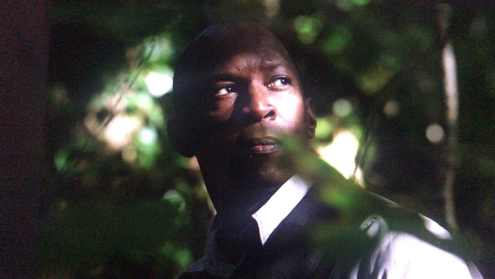 Boris Willis lit by dappled light, looking upward